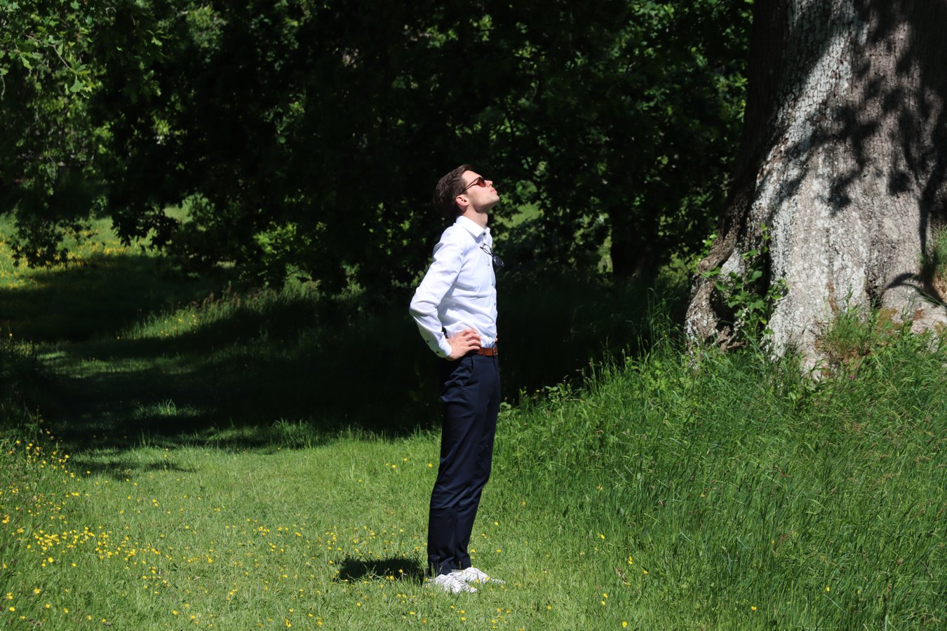 A photograph from my SSVM 2025 visit, from the Impressions page.